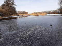 20260220_122227.jpg