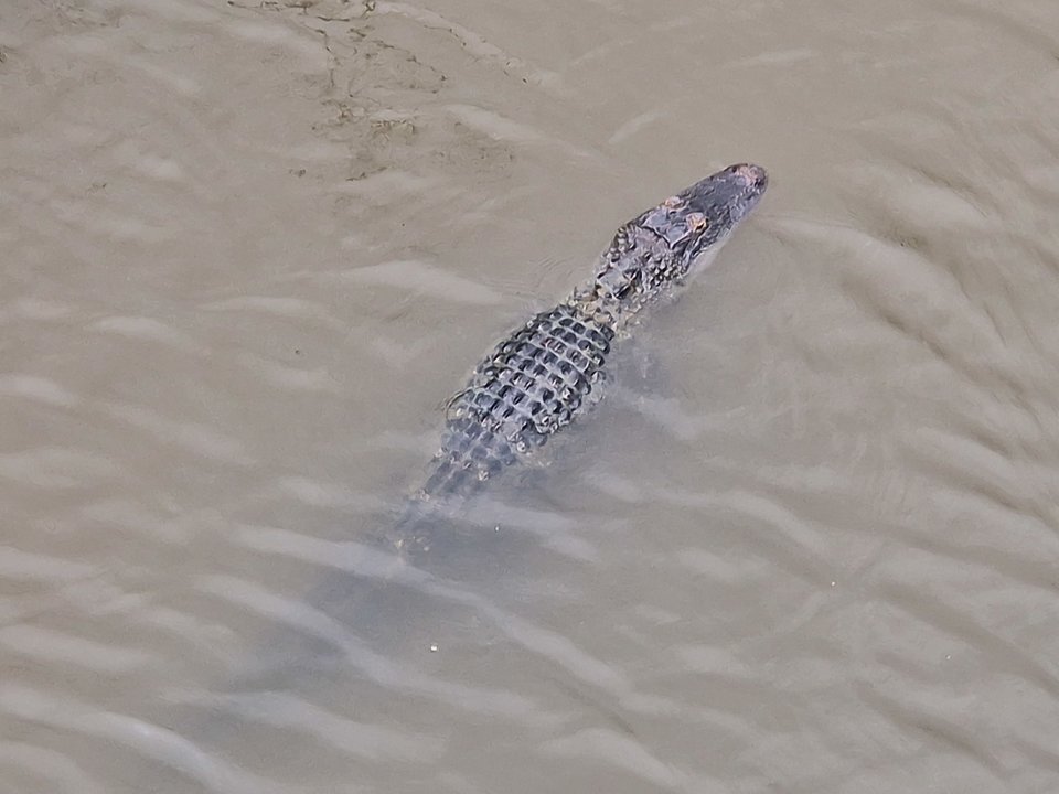 1000007148.jpg - Darco49