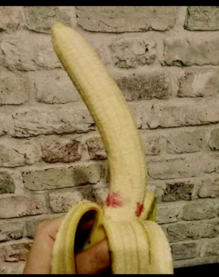 11595.jpg - Falcon96