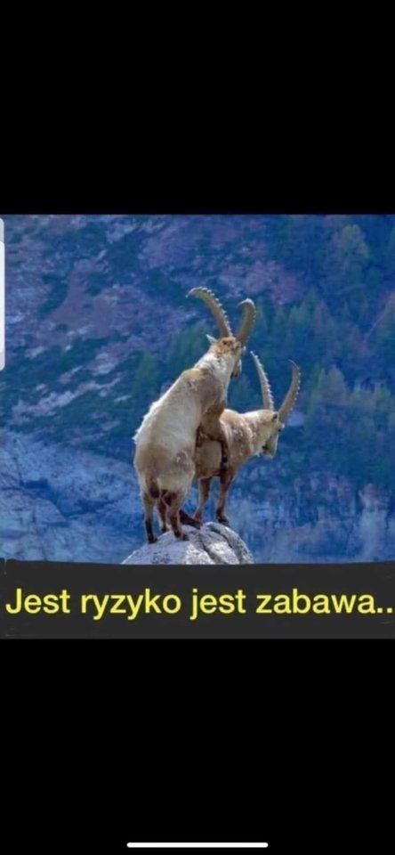 12525.jpg - Falcon96