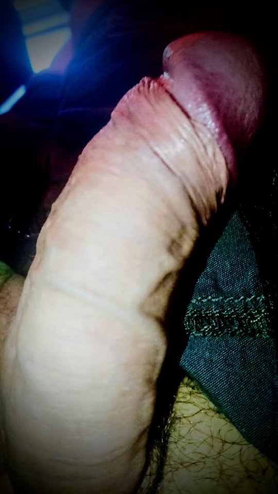 12530.jpg - Falcon96