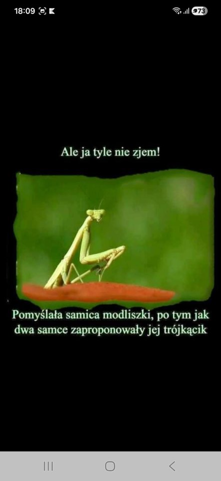 Messenger_creation_521E6B66-66D7-4C85-A480-12826111D952.jpeg - Pawelspqr189