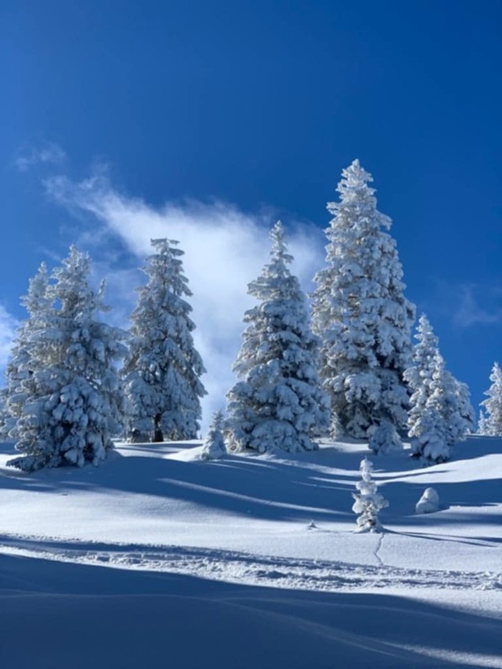 Messenger_creation_34F25599-B451-435B-B917-44BE8FDF08E7.jpeg - Borsuczki1970