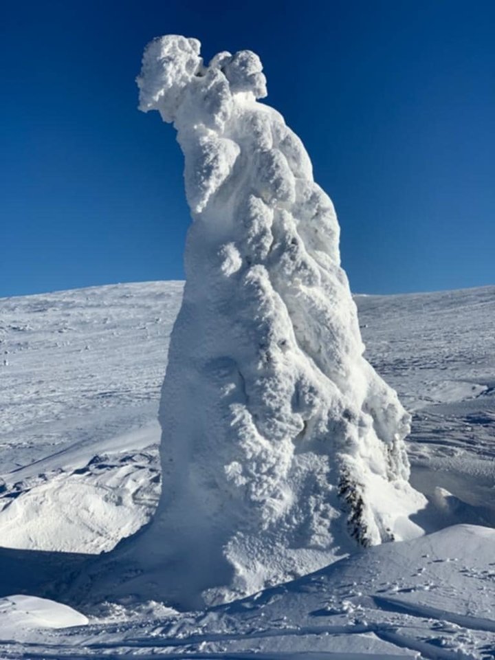 Messenger_creation_E46246AD-C230-47BE-B357-3B7D758A11F9.jpeg - Borsuczki1970