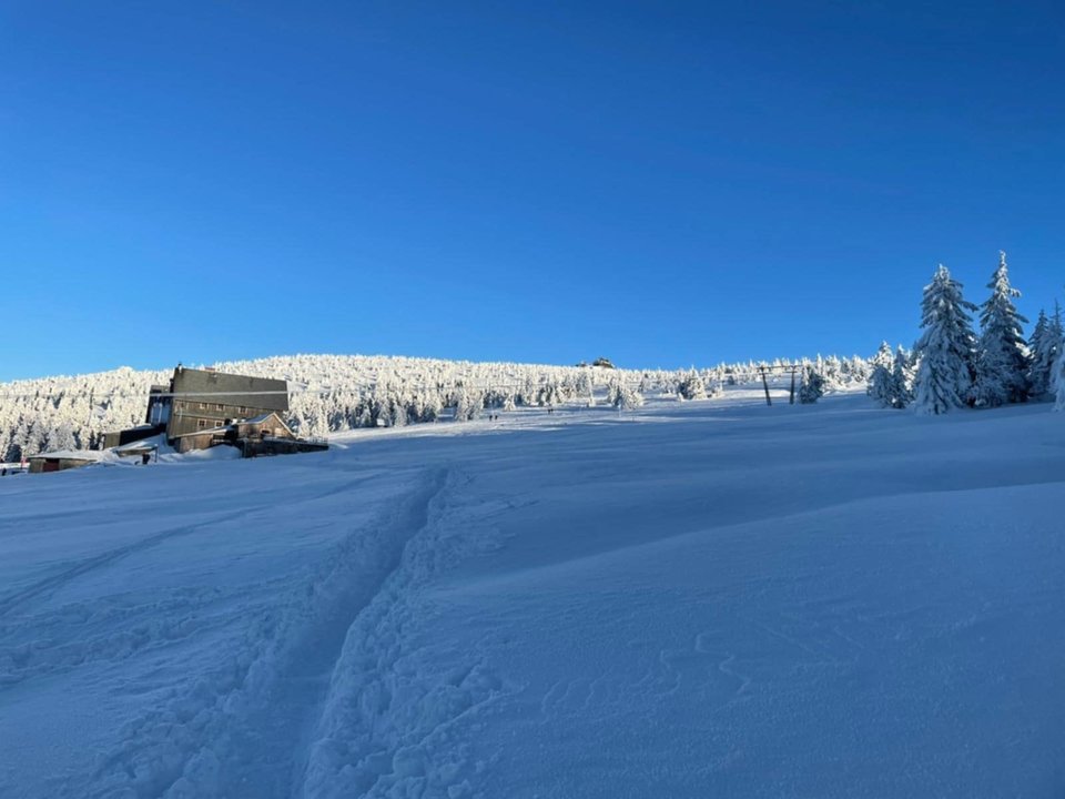 Messenger_creation_FF2EDA44-A070-4E60-B99B-3EA3A199F4A2.jpeg - Borsuczki1970