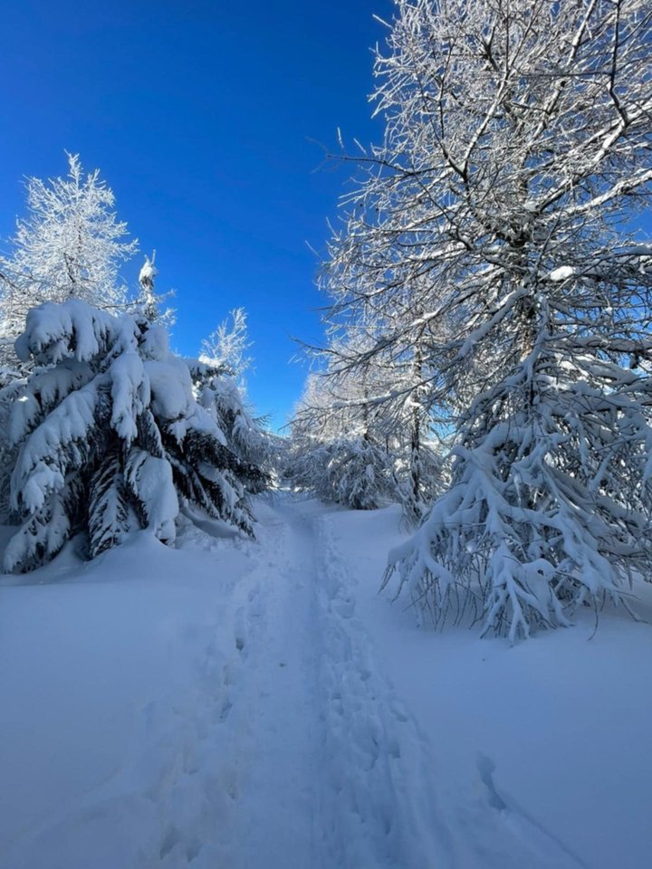 Messenger_creation_08D169AA-BE74-491B-B392-4BDD3FCBF4B4.jpeg - Borsuczki1970