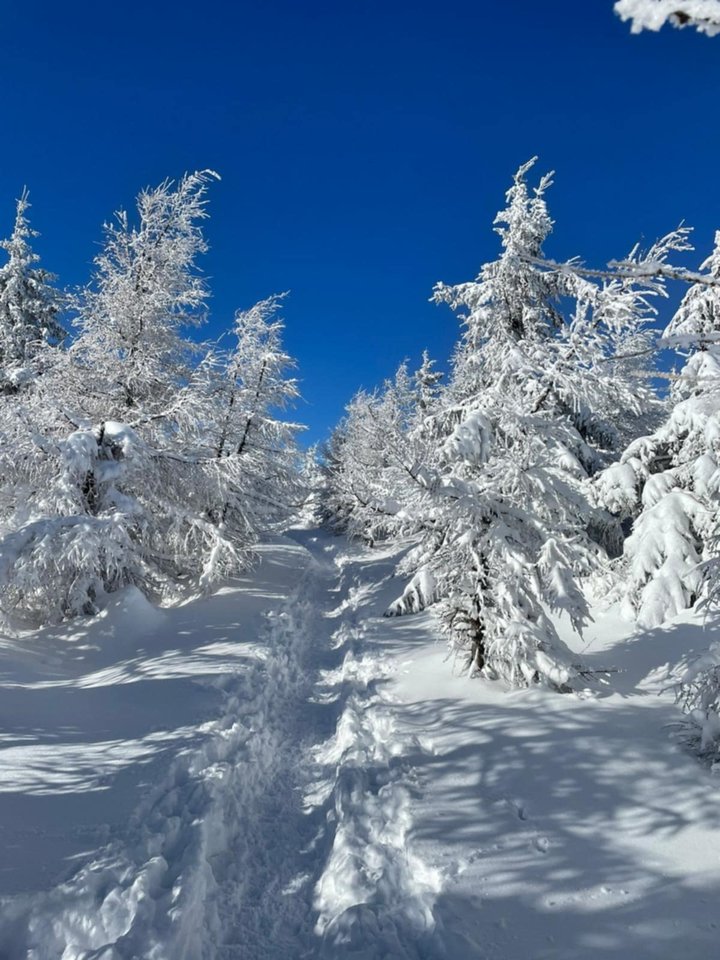 Messenger_creation_78AE1DCB-DE5D-47E4-9B73-D88F3EEA5E2A.jpeg - Borsuczki1970