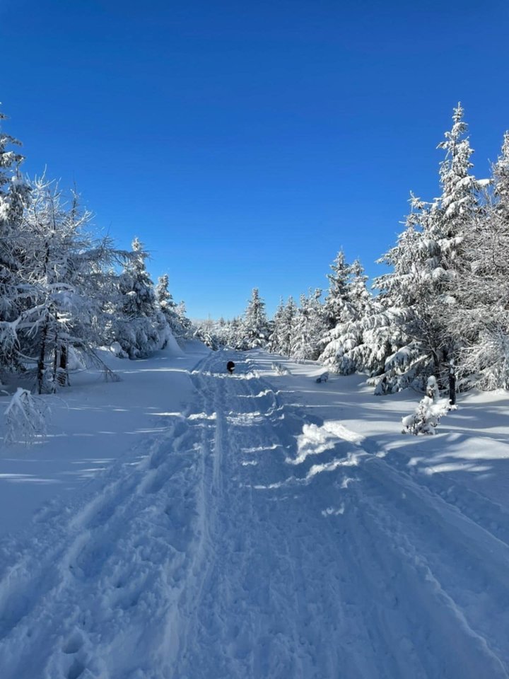 Messenger_creation_49F43E8E-B6FE-4C88-9A00-A7974144199B.jpeg - Borsuczki1970