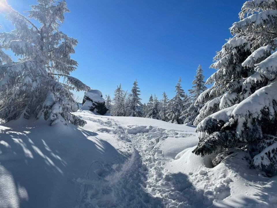 Messenger_creation_ADCD5032-2BA5-401E-949D-7CC640F84EDD.jpeg - Borsuczki1970