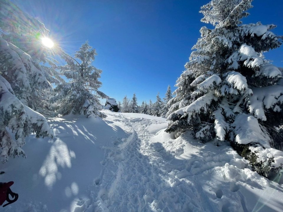 Messenger_creation_A881C4F1-97B8-467D-9496-7C324FC20C7C.jpeg - Borsuczki1970