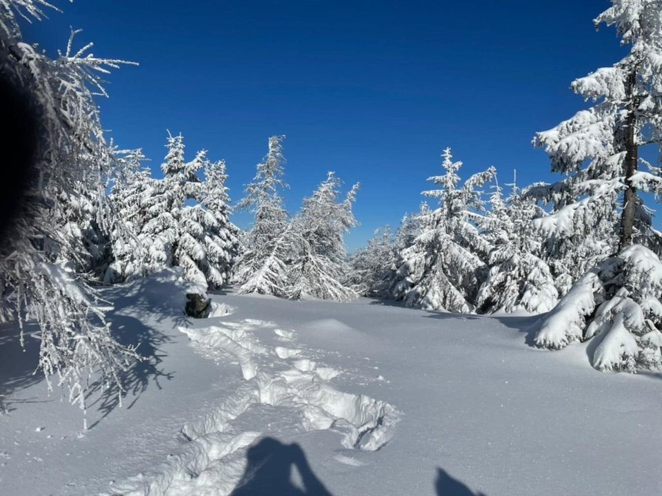 Messenger_creation_3894089F-192E-4301-BC56-B60681253BB4.jpeg - Borsuczki1970