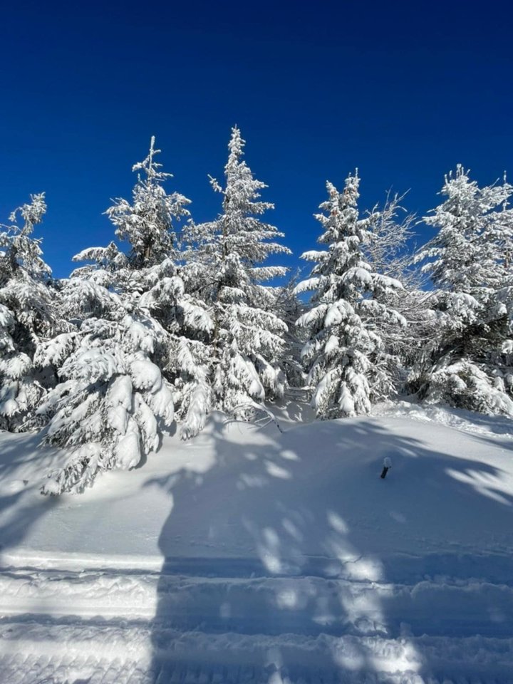 Messenger_creation_3B978569-DFEE-421B-BC2B-52843296C564.jpeg - Borsuczki1970