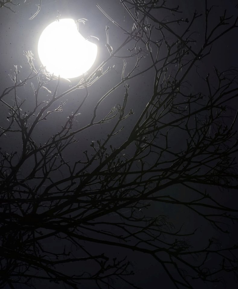 1000030277.jpg - TakijaCT