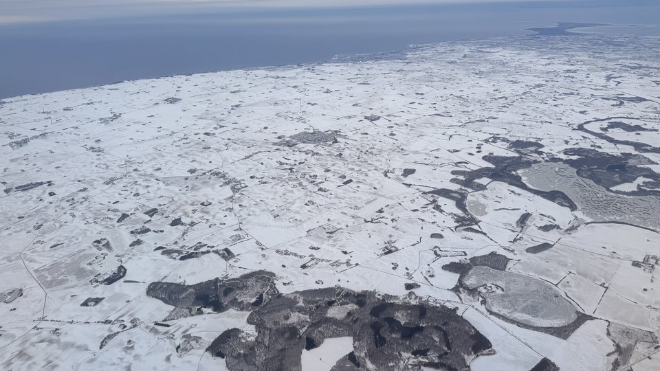 IMG_9942.jpeg - blueherring