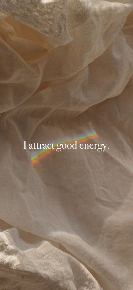 IMG_8766.jpeg - camellia_