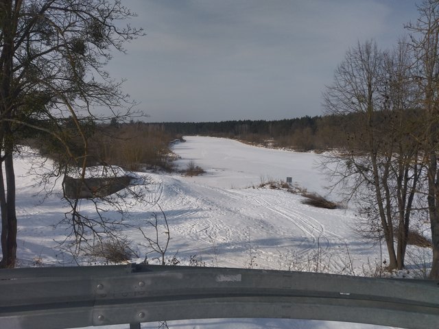 KrainaKotowKolorowych