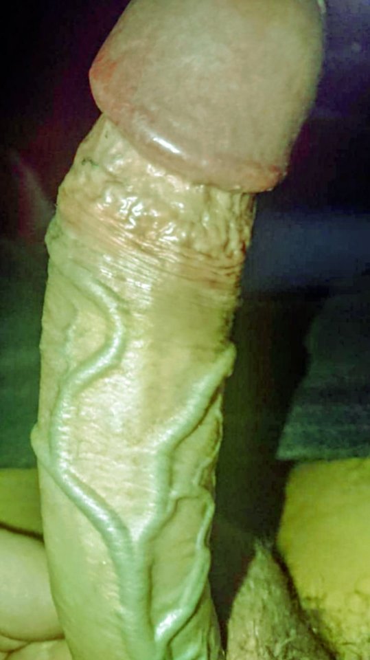 12642.jpg - Falcon96