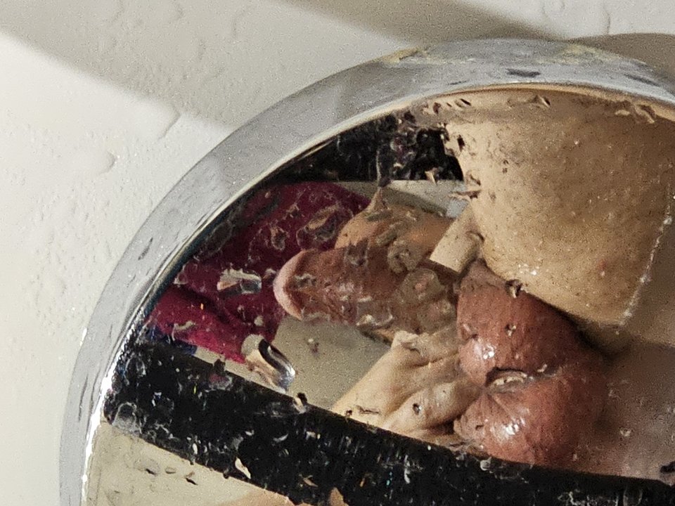 1000026499.jpg - deamon333