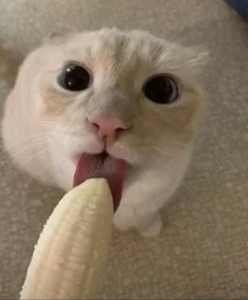 1000004282.jpg - MagicznyPylek