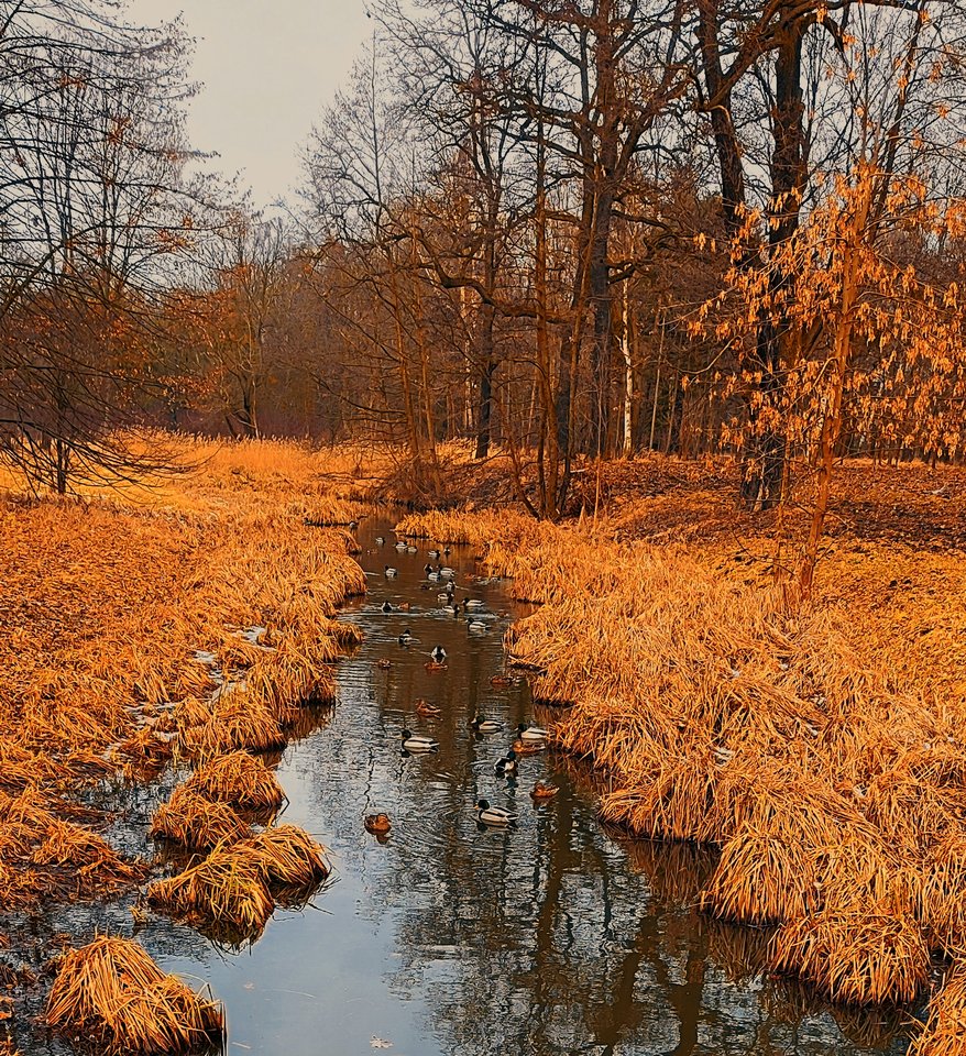 1000231910.jpg - wiem74