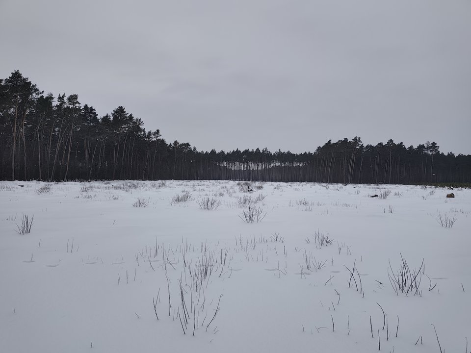 1000015268.jpg - LpuM78