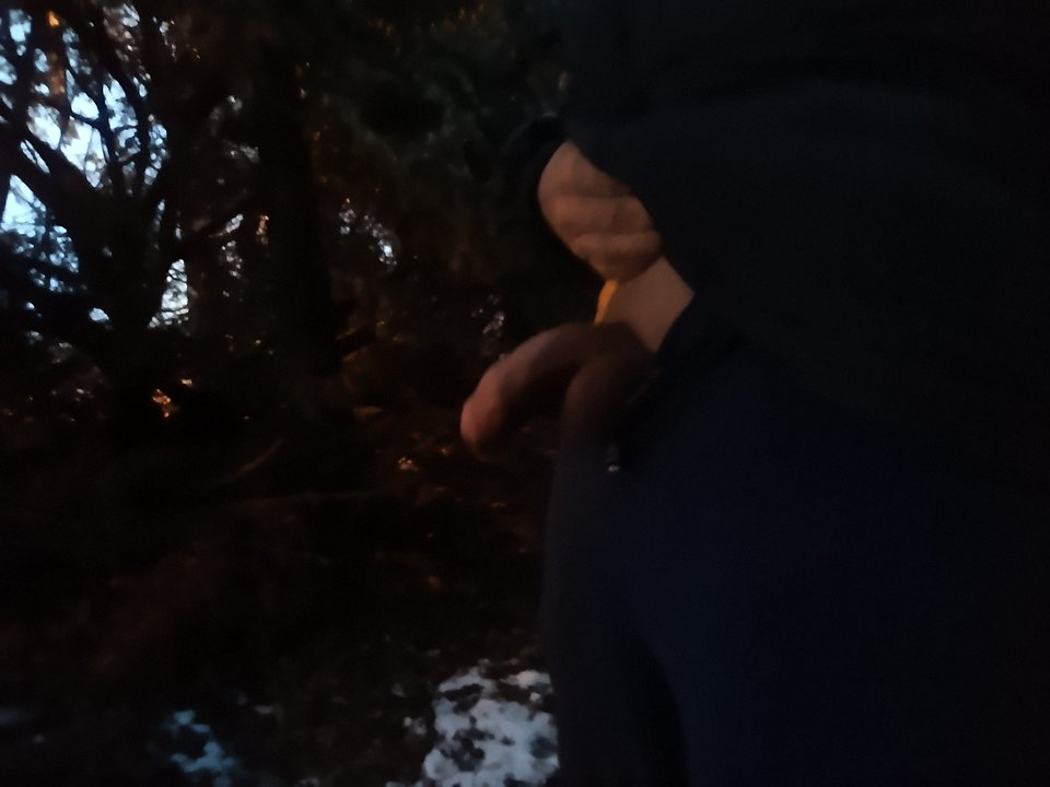 1000009278.jpg - 40CSW
