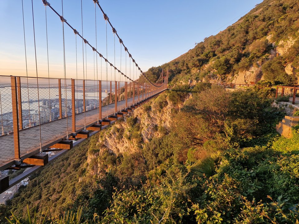 1000006467.jpg - Darco49