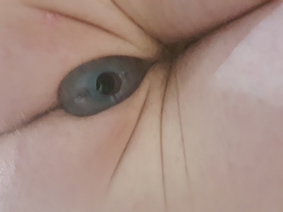 20260222_182152.jpg - AdamPK