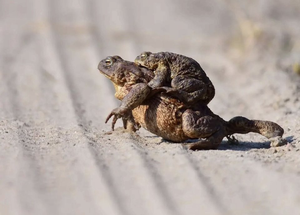 1000030349.jpg - TakijaCT