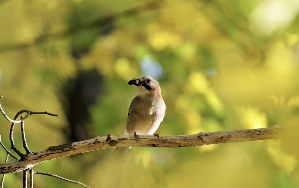 1000030345.jpg - TakijaCT