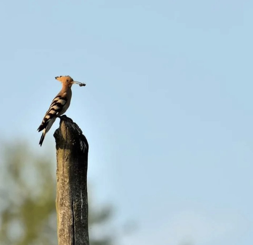 1000030347.jpg - TakijaCT