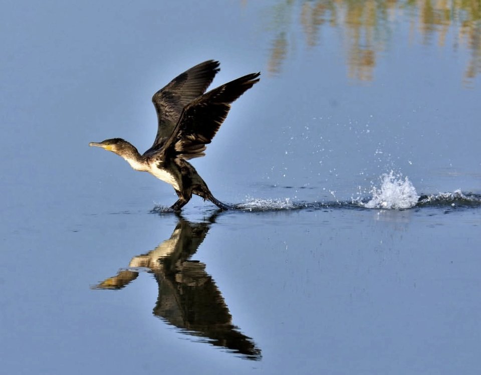 1000030343.jpg - TakijaCT