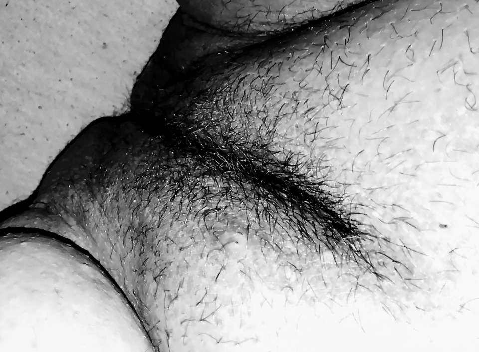 1000000292.jpg - Pulchnanif