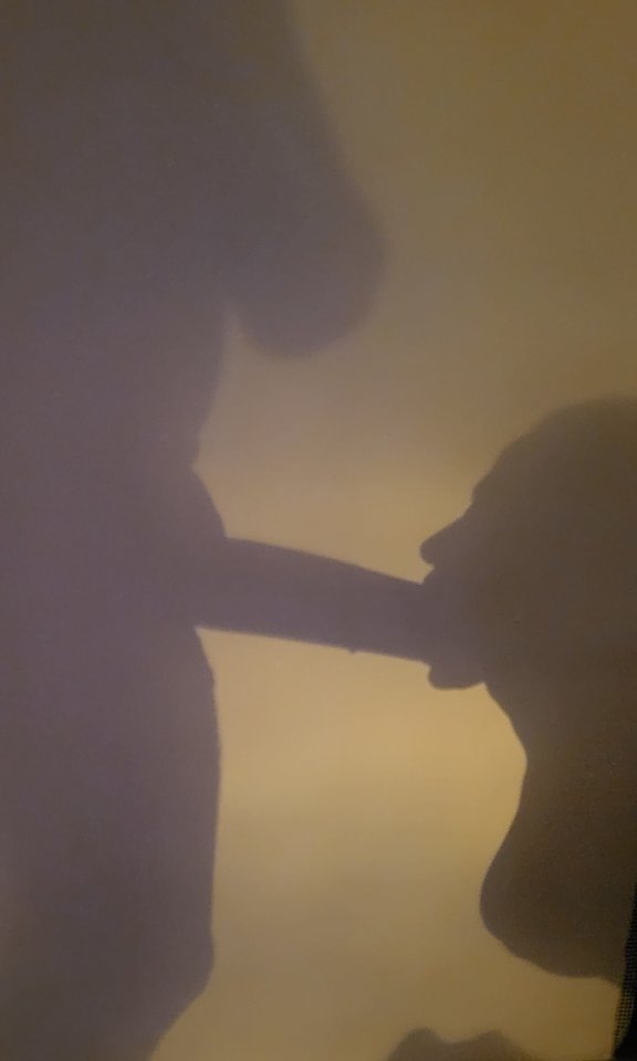 1000030838.jpg - ParaPitbullki