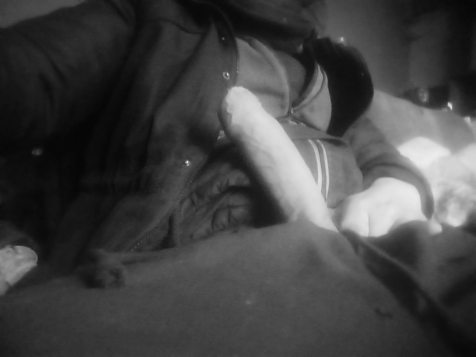 16902.jpg - Pepe9105