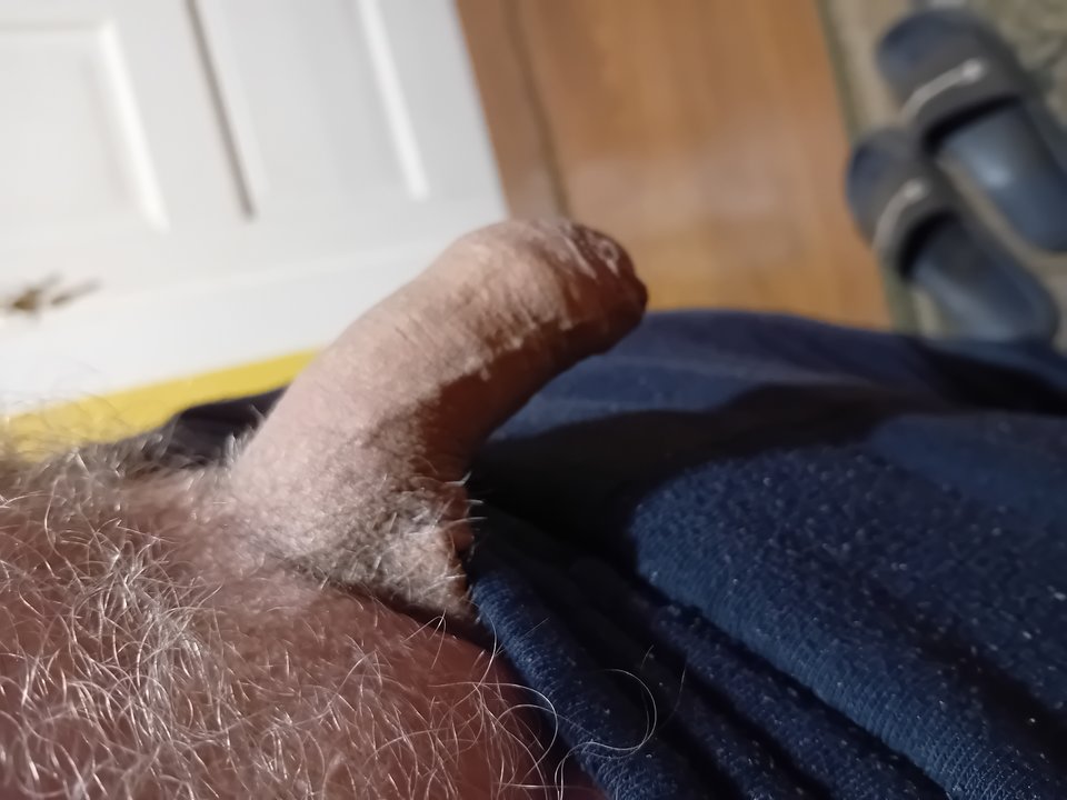 1000011781.jpg - brus13