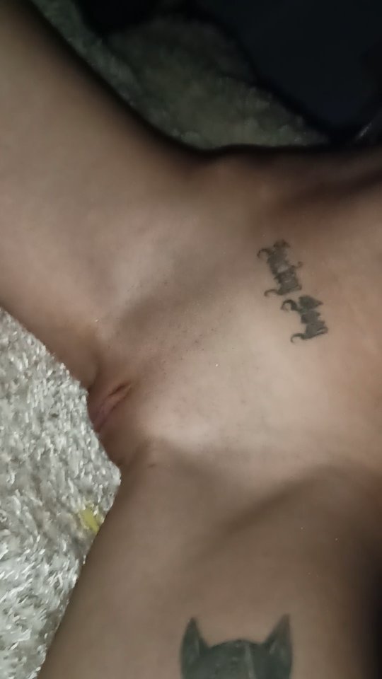 IMG_20260212_01011249.jpeg - Siupp