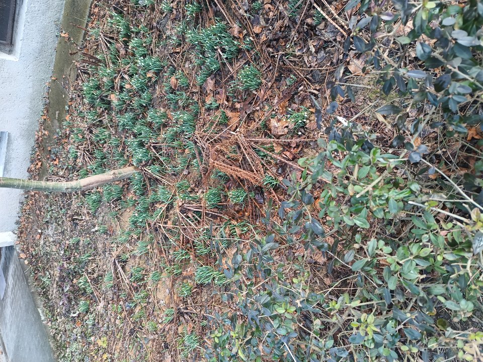 IMG_20260223_134155627.jpg - brunetkakr