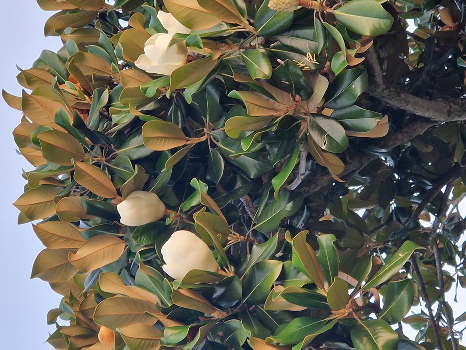 20250602_192248.jpg - Darco49