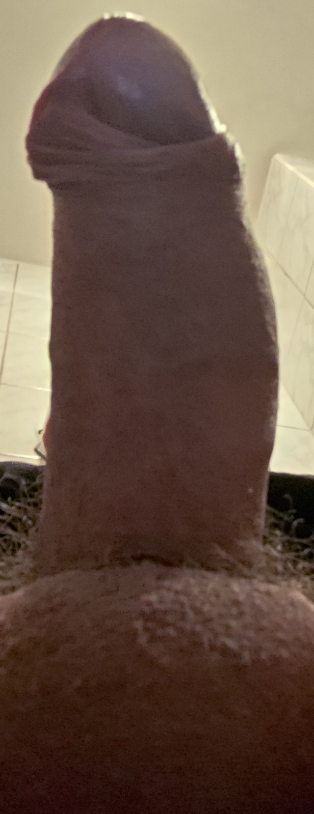 Tygrysmniam