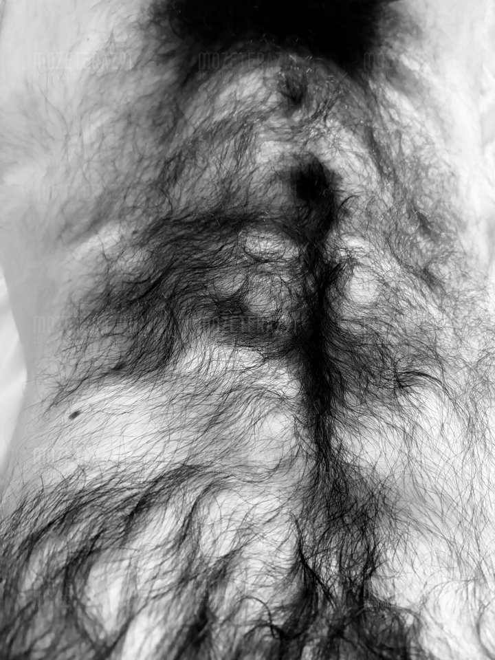 IMG_9593.jpeg - Mozeteraz91