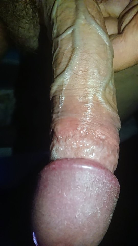 12749.jpg - Falcon96