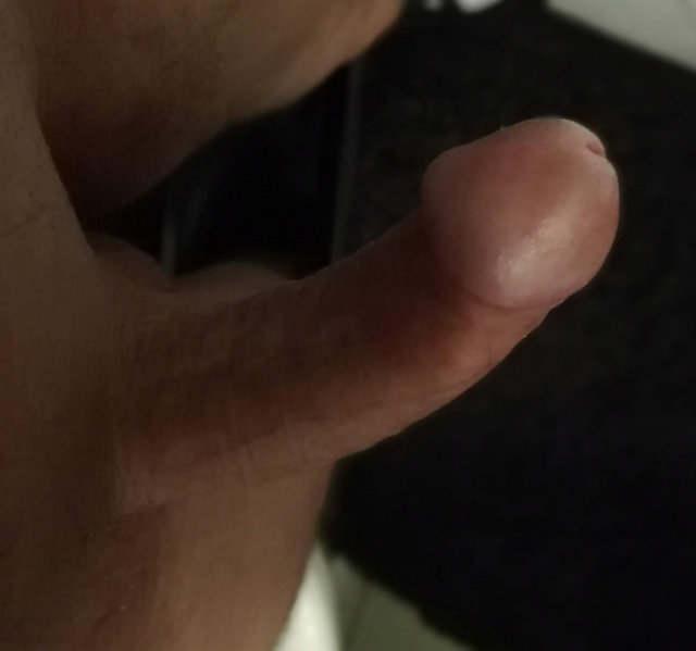 pawcio1010
