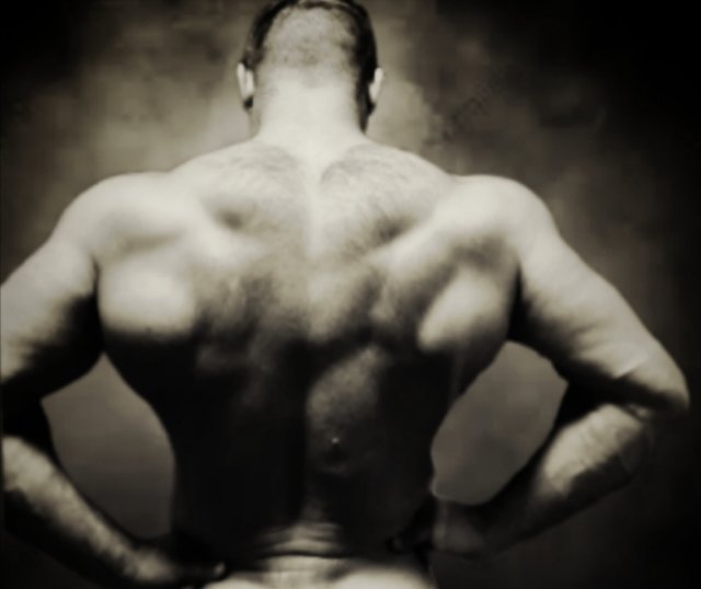 1000013513.jpg - Paccop