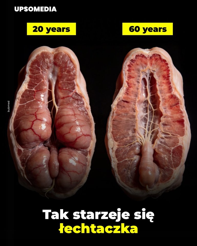 E01E3281-B817-4D56-B812-55D9A5FF252E.jpeg - iwan1978