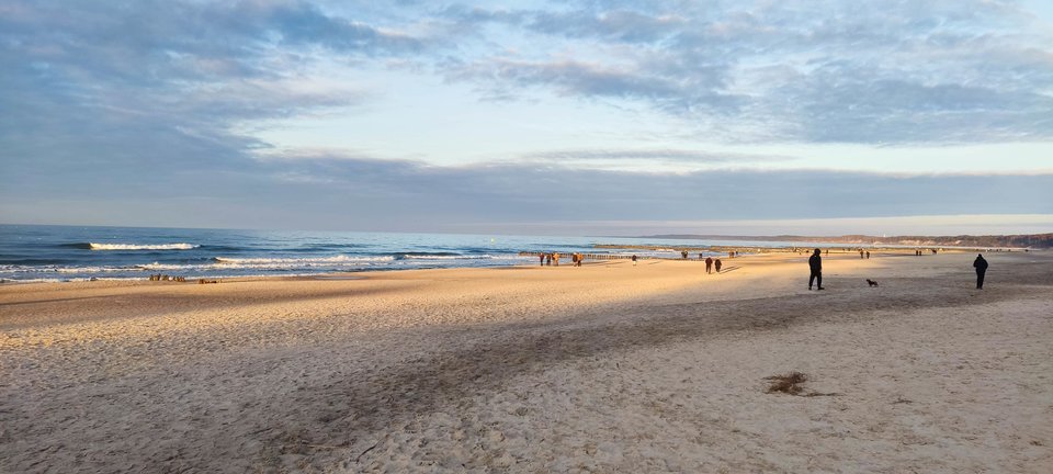 IMG_20260225_165143.jpg - edytkaandrzej