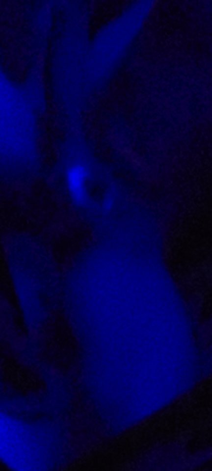 Screenshot_20260225_211827_Gallery.jpg - TlYBIii