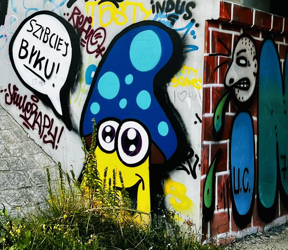 IMG_1249.jpeg - NormTom88