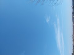 1000027918.jpg