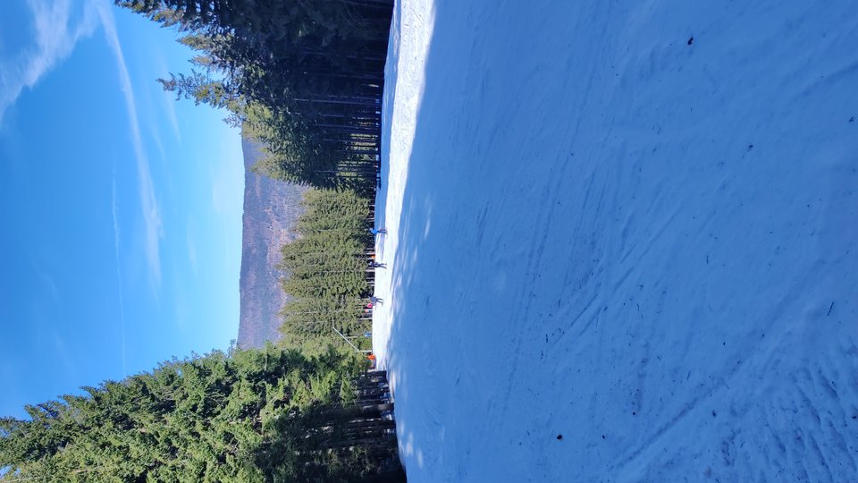 1000024516.jpg - tom6970